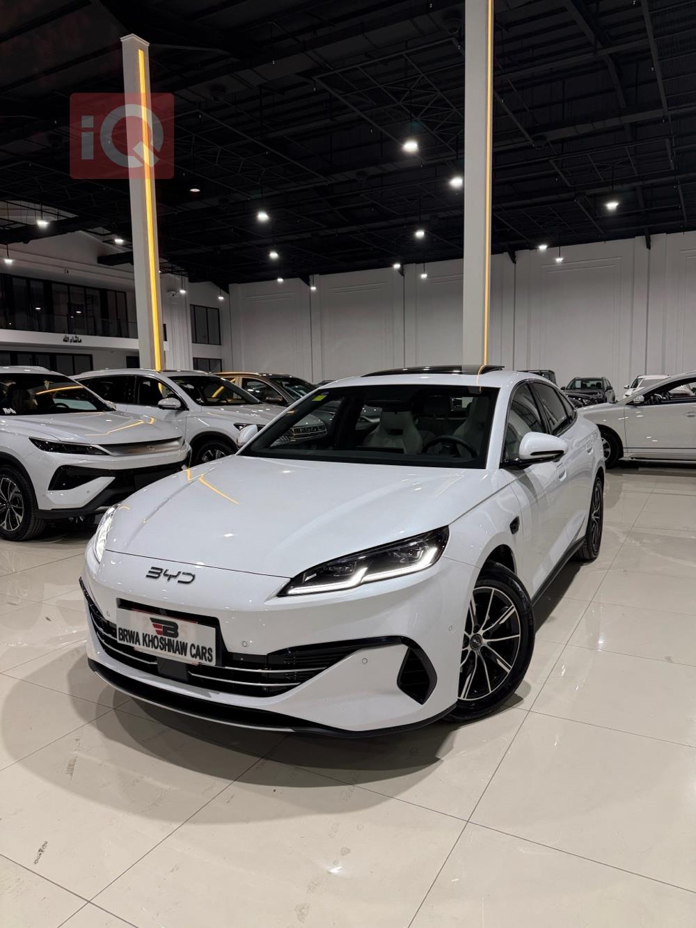 بی وای دی سيل 06 DM-i